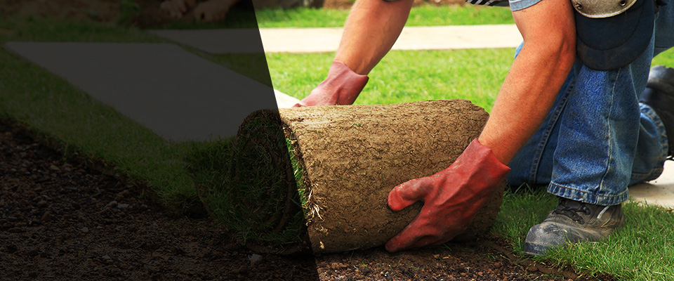 Centralia Landscapers